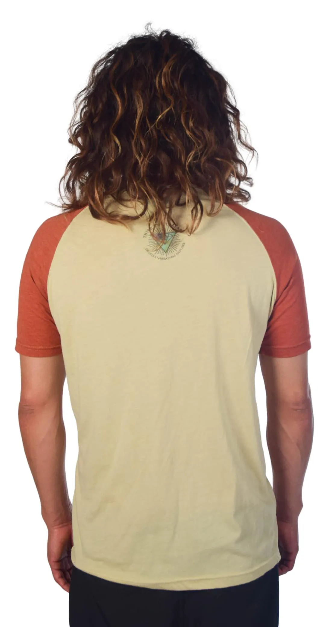 Bee Raglan Men's Tee Shirt