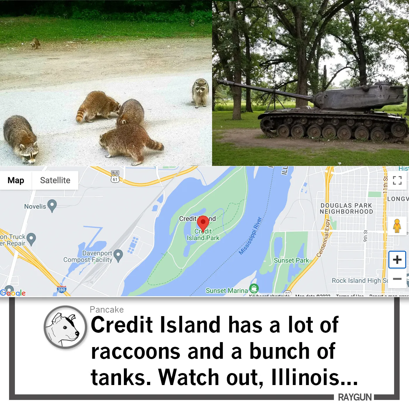 Credit Island: Trash Pandas With Tanks