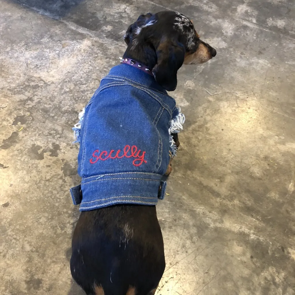 Denim Dog Vest (w/ Free Name Embroidery)