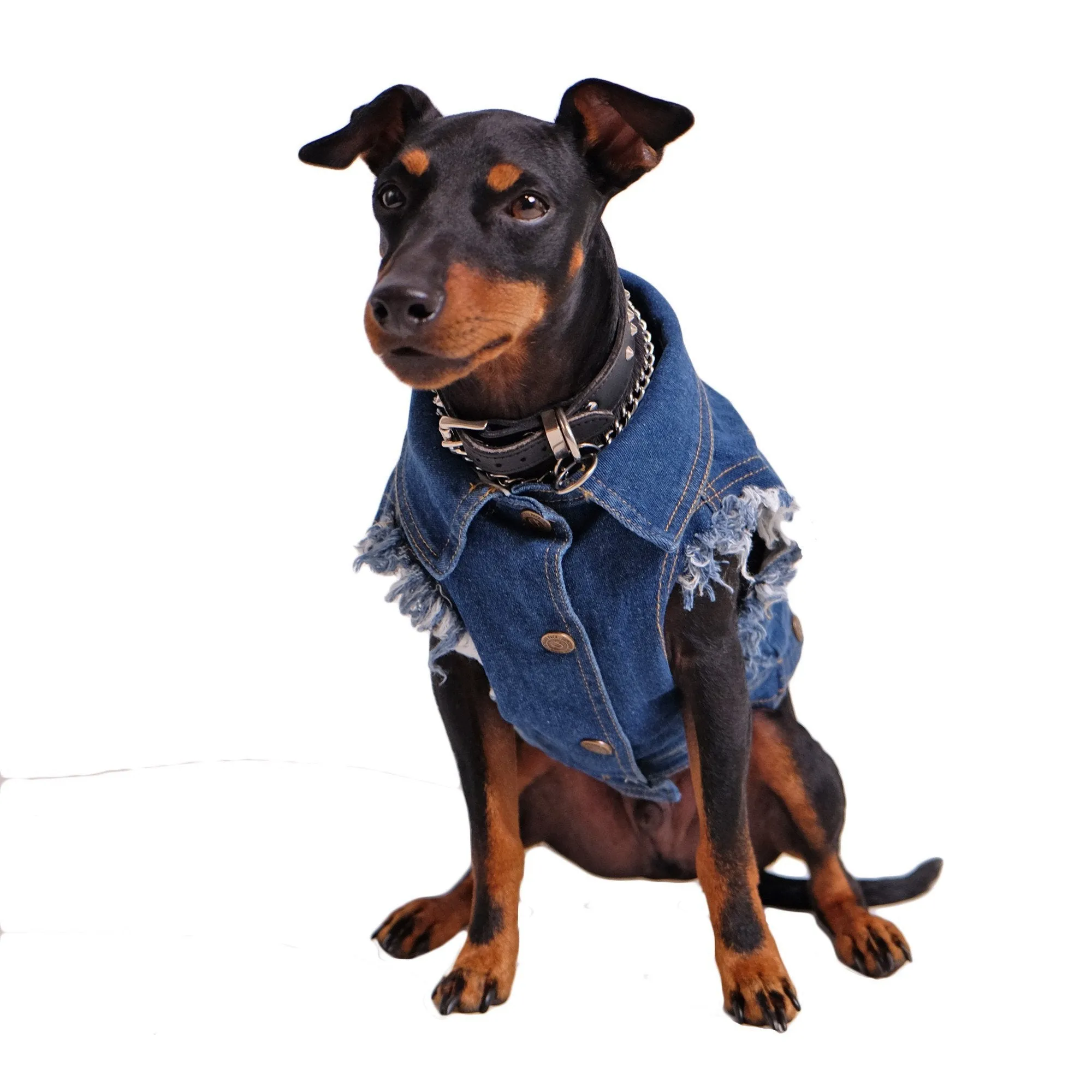 Denim Dog Vest (w/ Free Name Embroidery)