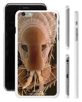 "Dog Flea" - iPhone 6/6s Plus Case