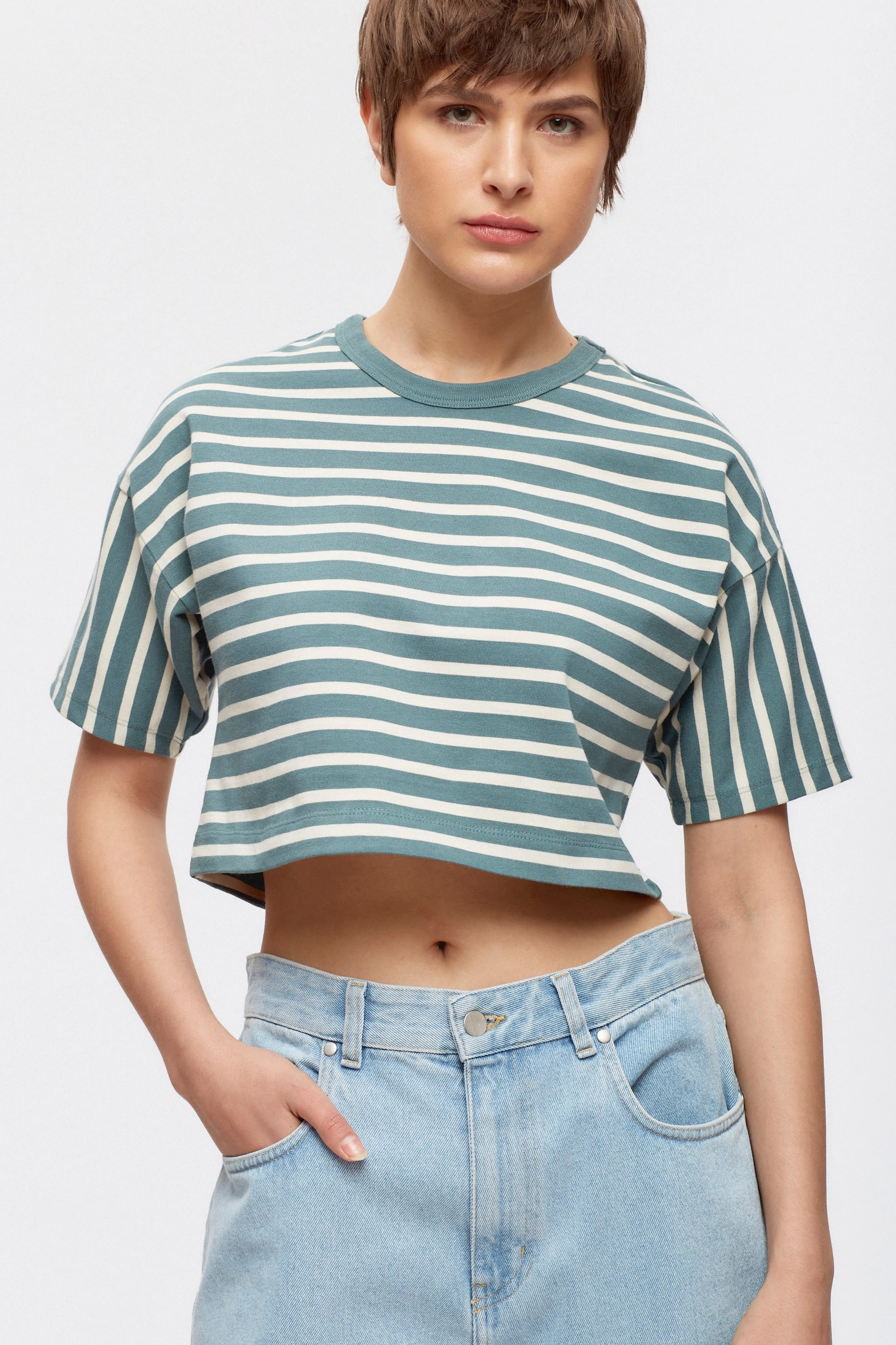 Women's Heavyweight Crop Tee in Silver Pine/Birch Stripe