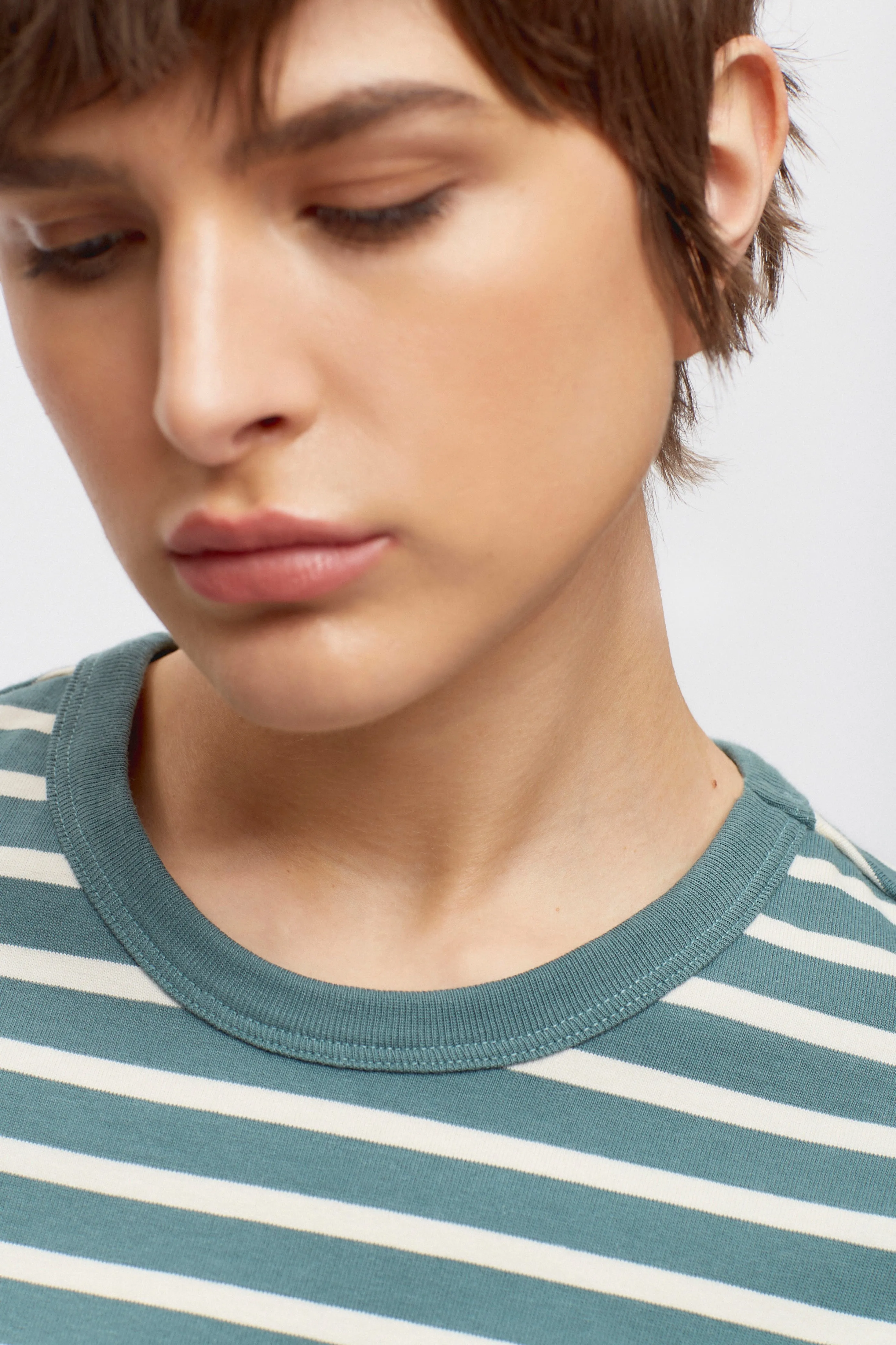 Women's Heavyweight Crop Tee in Silver Pine/Birch Stripe